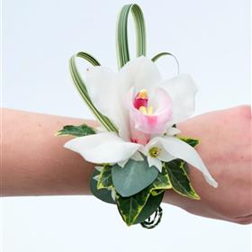 fwthumbCymbidium Orchid Corsarge.jpg